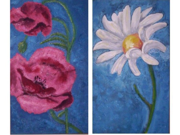 Chrysanthemum Leucantheum / Papaver&nbsp;Rhoeas