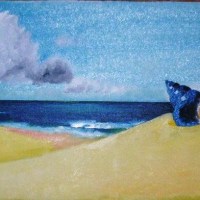 Conejo, Playa y&nbsp;Caracola