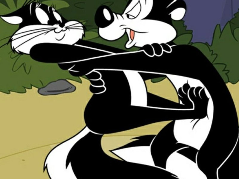 ¿Cómo elegimos pareja?