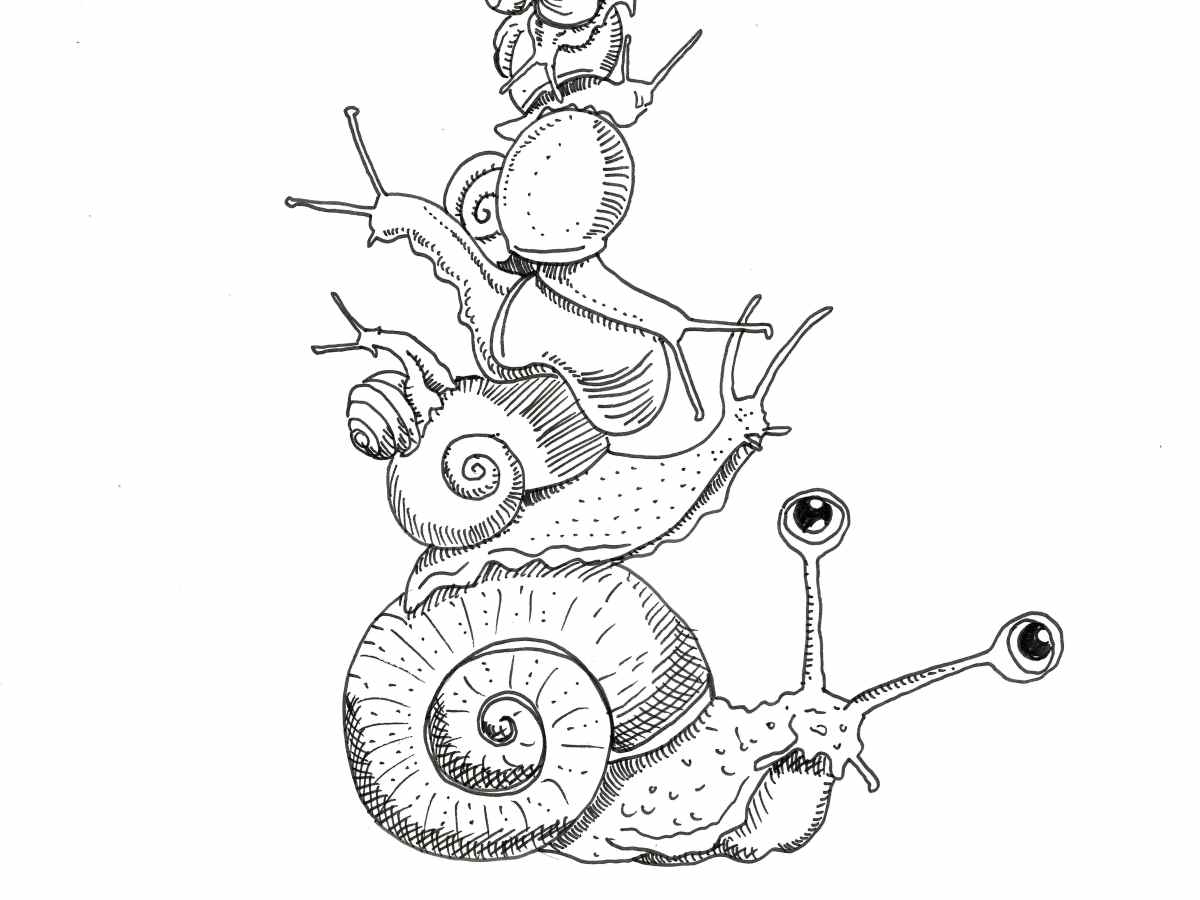 CARACOLES
