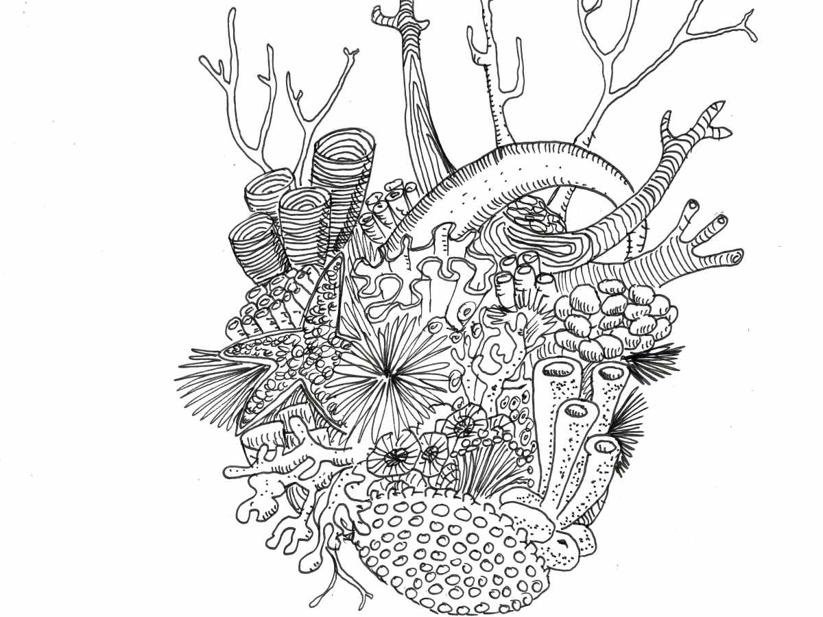 CORAZÓN DE CORAL