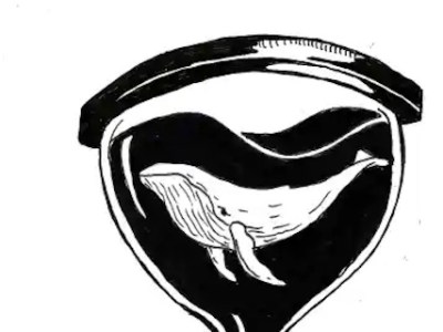 Ballena