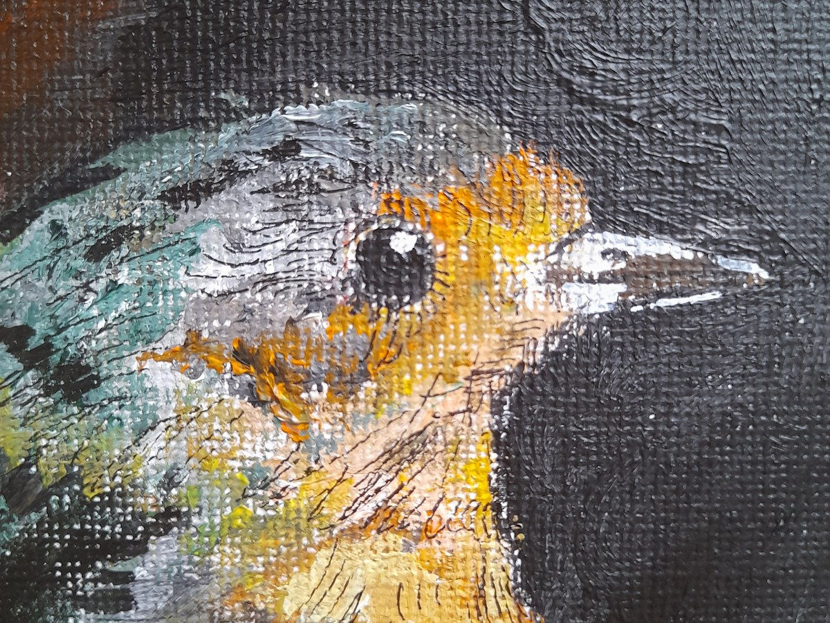 Erithacus rubecula