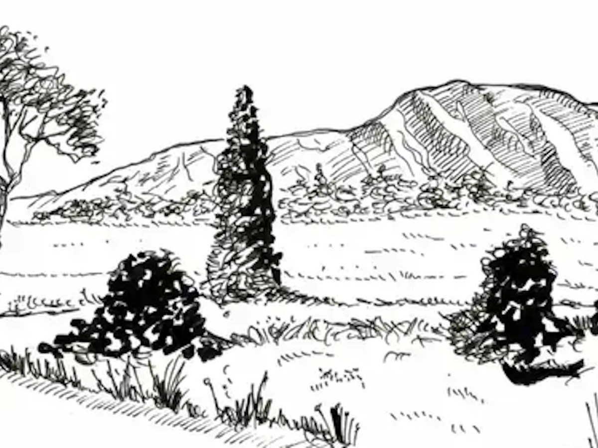 PAISAJE
