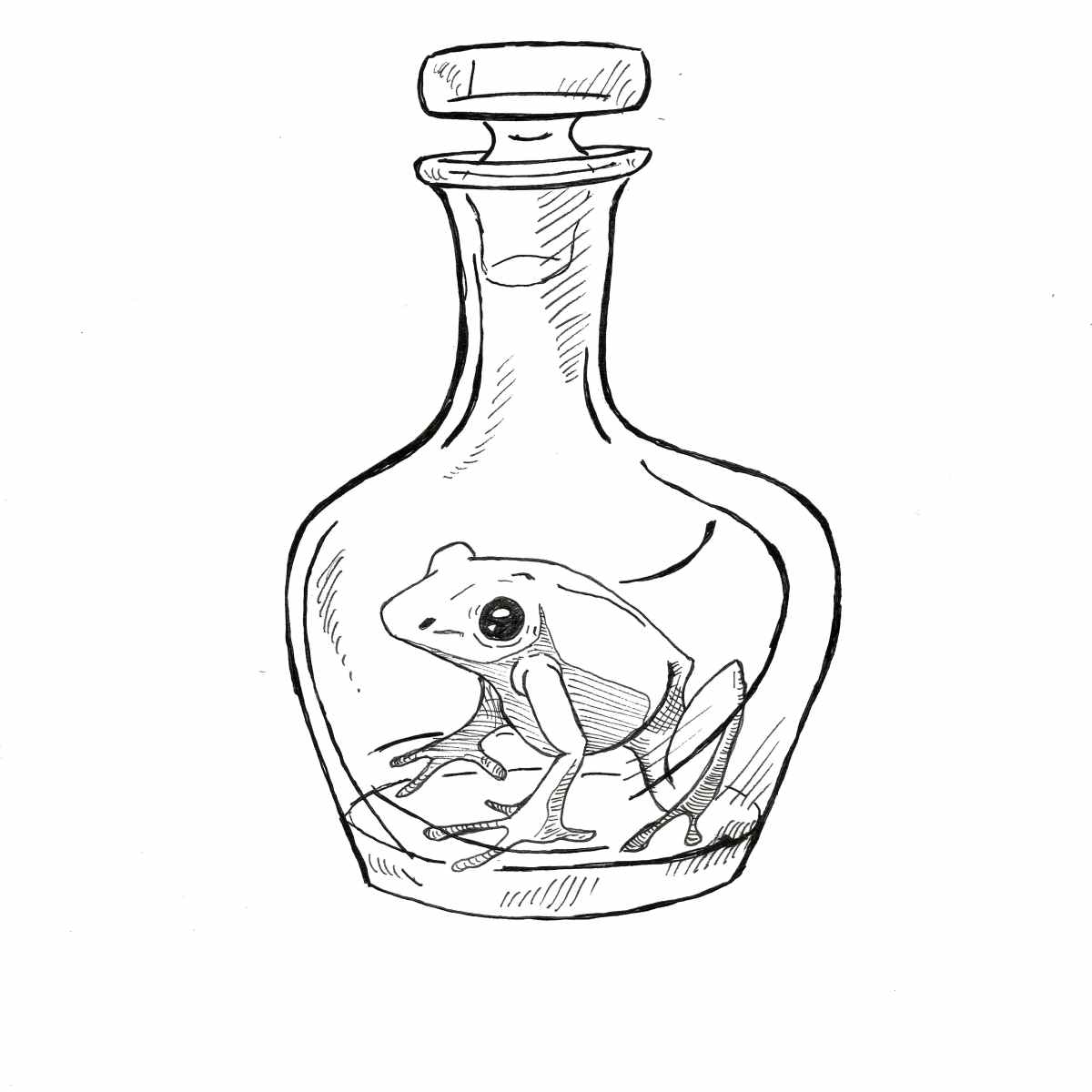 Una rana en una&nbsp;botella