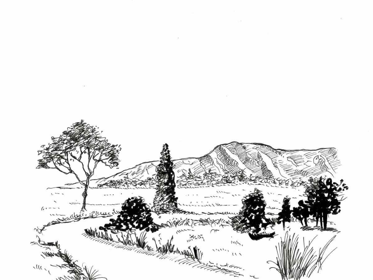 PAISAJE